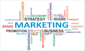 strategic marketing consultations for small businesses